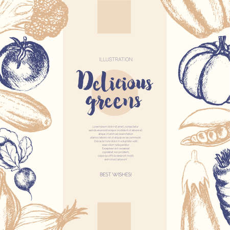 Vegetables - color hand drawn composite banner.のイラスト素材