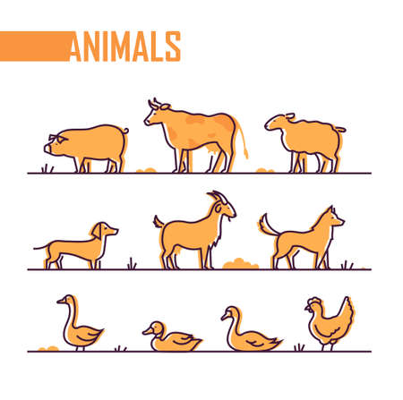 Set of farm animals - line design style colorful illustration on white background. A pig, cow, goat,...