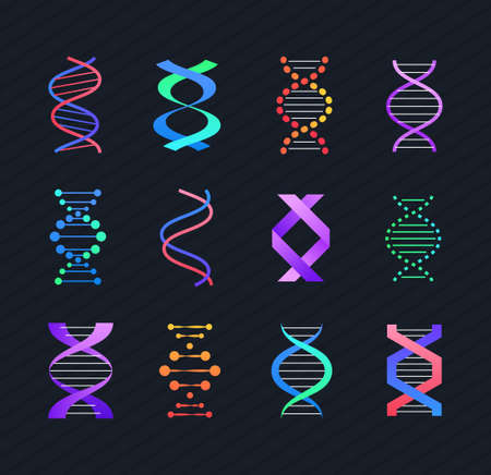 DNA molecule - line design style vector elements isolated on black background. Bright fluorescent images of deoxyribonucleic acid, double helix of different forms and shapes. Genetics conceptのイラスト素材