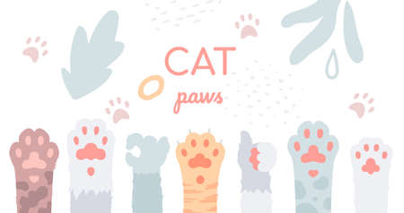Cat paws collection - flat design style illustrationのイラスト素材