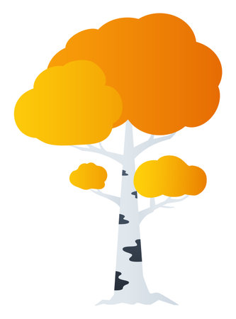 Autumn birch - modern flat design style single isolated imageのイラスト素材