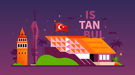 Night architecture of Istanbul - modern colored vector illustrationのイラスト素材