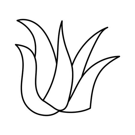 Aloe vera icon vector. Aloe Vera logo concept for cosmetic or moisturizer creamのイラスト素材