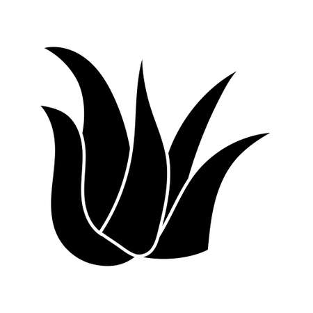 Aloe vera icon vector. Aloe Vera logo concept for cosmetic or moisturizer creamのイラスト素材
