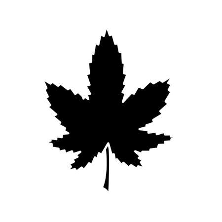 Marijuana icon vector illustration. Illustration for designのイラスト素材