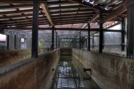 textil bathroom with timber roofの写真素材