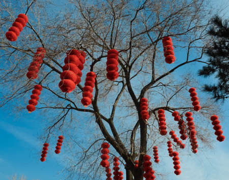 Red Lanternの写真素材