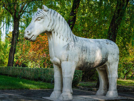 Stone horse in the parkの写真素材