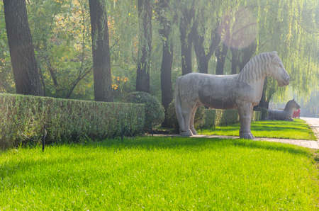 Stone horse in the parkの写真素材