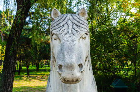 Stone horse in the parkの写真素材