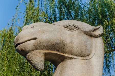Close up of sheep statues in the parkの写真素材