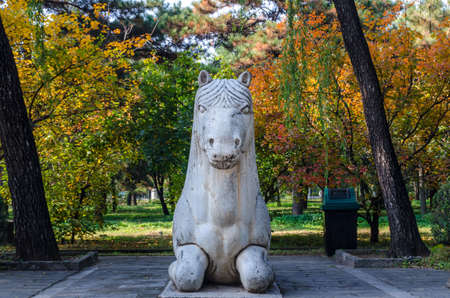 Stone horse in the parkの写真素材