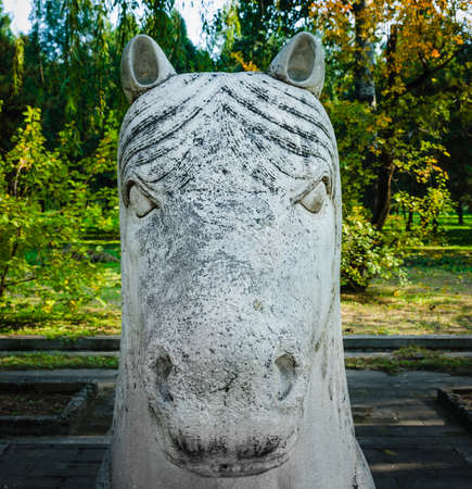 Close up of horse statues at parkの写真素材