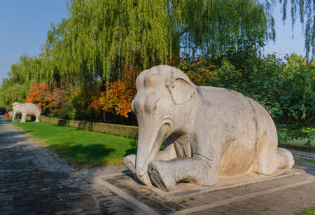 Stone elephants in the parkの写真素材