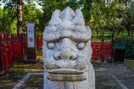 Stone lion in the parkの写真素材
