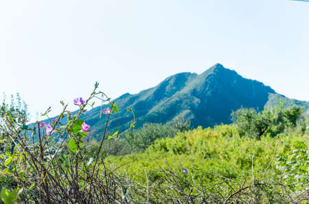 Closeup of mountainの写真素材