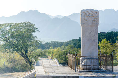 Stone tortoise under the steleの写真素材