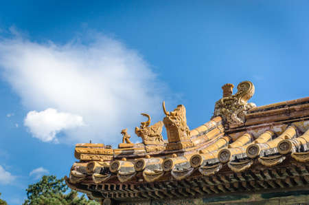 Rooftop with sculptures of legendary creature