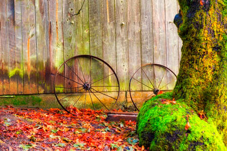 Rusted iron spoke wheels against the side of a barn with autumn leaves on the ground and moss growing on a trunk of a tree at Miller Woods.の写真素材
