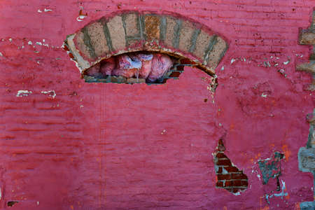 Background image of an exterior brick building that has been neglected.の写真素材