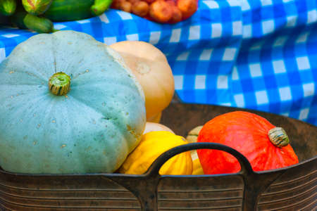 Blue, yellow,tan, and orange-red pumpkins in a metal bucket with a blue checkered cloth in background, at Farmers Market.の写真素材