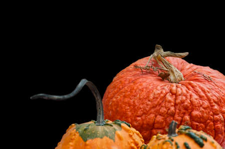 Copyspace of three pumpkins with a black backgroundの写真素材