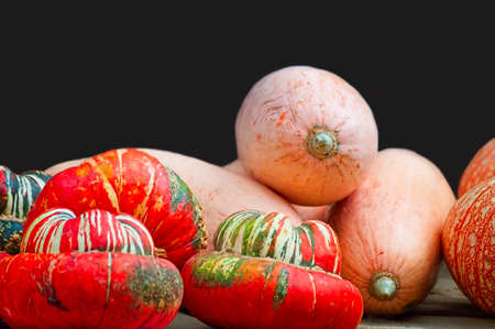 Close up with copyspace of gourds on a table at a farmers marketの写真素材