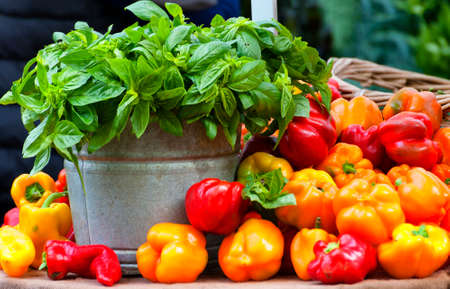 A metal bucket filled with basil leaves surrounded by yellow and red peppers on a table covered with burlapの写真素材
