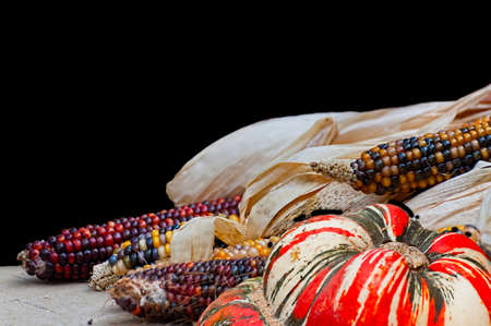 Composite of two photo files consisting of indian corn and qourds.の写真素材