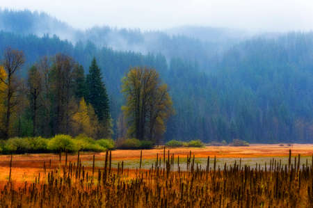 Autumn landscape at Lost lake on Santiam Pass.  During the summer months, this lake turns into a marsh like meadow.  No longer being heavily feed by melting snow feed streams it drains into an open lava tube.  Heavy clouds and light rain adds to the beautiful serene landscape.の写真素材