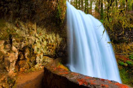Lower North Falls gushes over cliff afterautumn heavy rains in Silver Falls State Park in Oregonの写真素材
