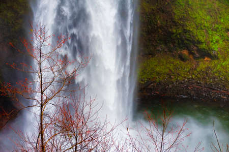 Base of South Falls in Oregon Silver Falls State Park.の写真素材