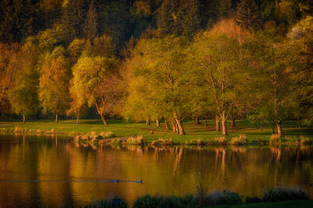 Sunrise of a peaceful spring setting along the banks of a small lake.の写真素材