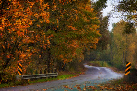 Driving along a country road in a misty rain surrounded with autumn colors.の写真素材