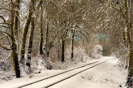 Snow covered railroad tracks lead the eye through a canopy of trees in this winter sceneの写真素材