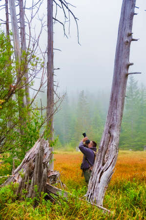 A photographers aims his camera up towards a bird in an old snag in a wetland meadow in Gifford National Forest near Mt. St. Helens.の写真素材