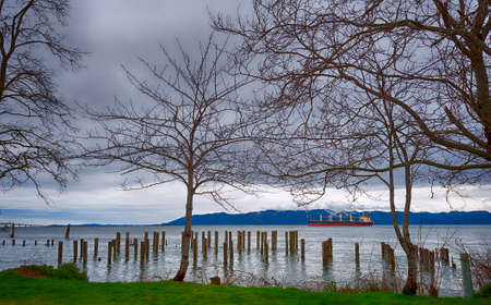A lone freighter heads out to the Pacific by way of the Columbia River early morning.  Heavy clouds and barren trees enhances the landscape.の写真素材