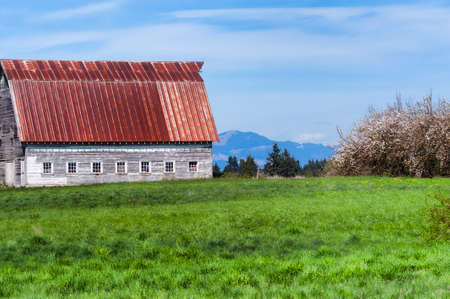 A barn sits on a grassy pasture in this country setting in Rural Washington Stateの写真素材
