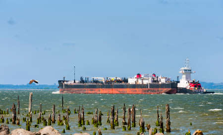 A flying eagle and a freighter head toward the Pacific by way of the Columbia River.の写真素材