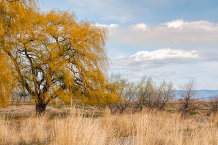 Landscape see from within the boundries of the Lava Beds National Monument located in Modoc County, Californiaの写真素材