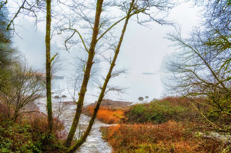 East Fork of the Lewis River in Clark County, Washington, with a light dusting of snow on a frosty winter morningの写真素材