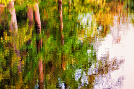 Autumn trees refect in the waters of a creekの写真素材