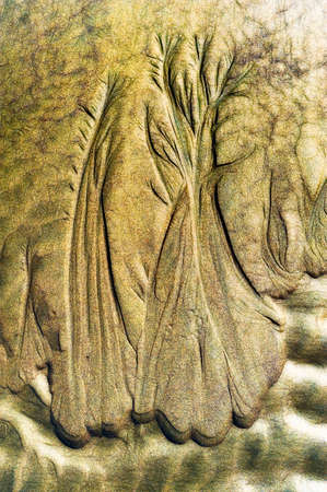 Nature's sand art, etched by the receding tide on the Oregon Coastの写真素材