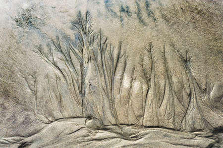 Nature's sand art, etched by the receding tide on the Oregon Coastの写真素材
