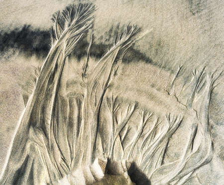 Nature's sand art, etched by the receding tide on the Oregon Coastの写真素材