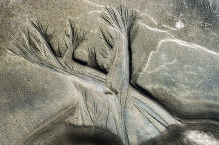 Nature's sand art, etched by the receding tide on the Oregon Coastの写真素材