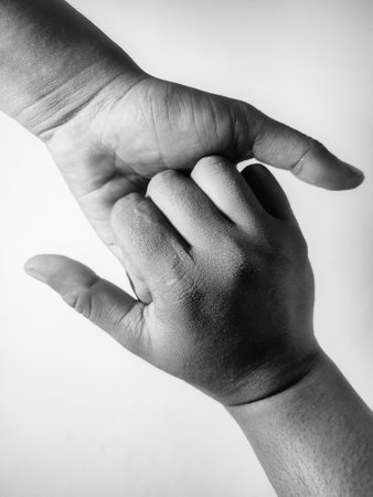black and white image of two hands touching on white backgroundの写真素材
