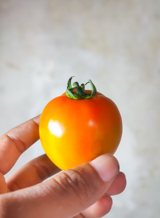 Tomato in the hand on a light background. Selective focus.の写真素材