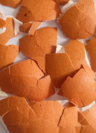 Eggshells in the shape of a heart on a white background