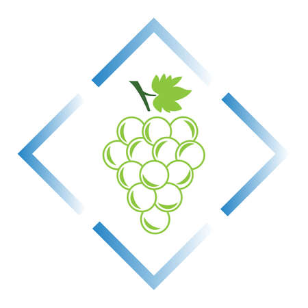 Grapes icon vector illustration design templateのイラスト素材